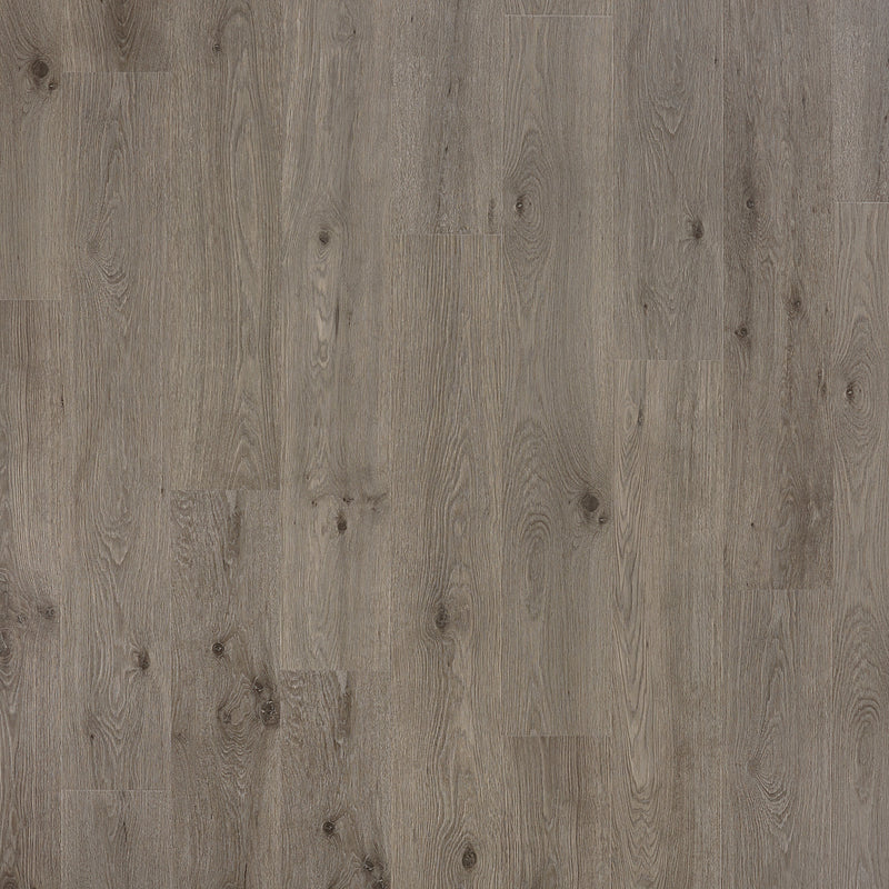 PERGO Laminate TimberCraft Elite in High Grove Oak (WHS:GAD/GHO)