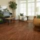 Mohawk Laminate in Ocala Hickory (WHS:THO)