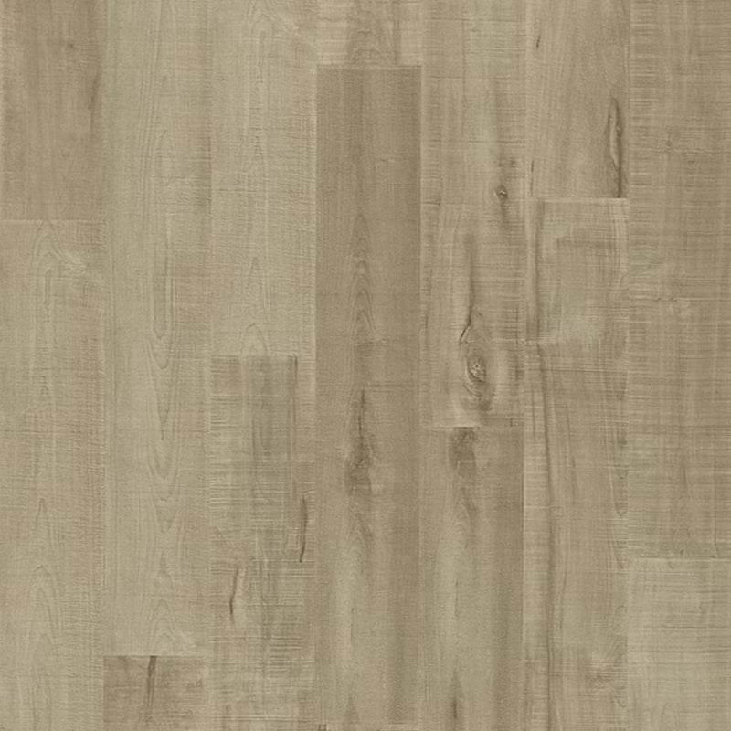 PERGO Laminate TimberCraft in Leaf Maple (WHS:BSD)