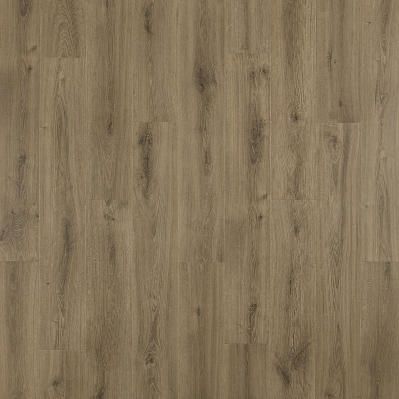 Mohawk Laminate Pro in Knightwood Oak (WHS:BSD)