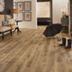 PERGO Laminate TimberCraft Elite in Aubrey Ridge Oak (WHS:GAD)