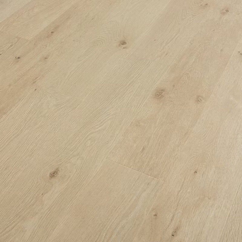 PERGO Laminate TimberCraft Elite in Marsh Creek Oak (WHSGAD) Mohawk