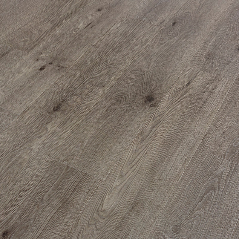 PERGO Laminate TimberCraft Elite in High Grove Oak (WHS:GAD/THO)