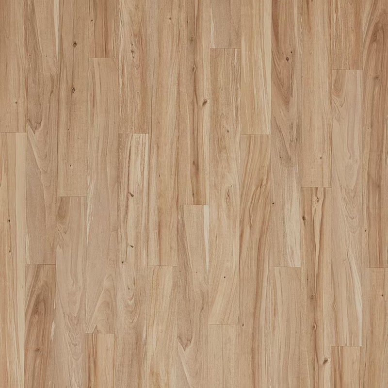 Mohawk Laminate in Boyd Park Maple (WHS:BSD)