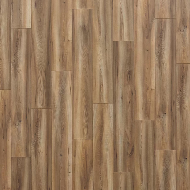 QuickStep Studio Laminate in Pretoria Elm (WHS:BSD/GAD/THO)