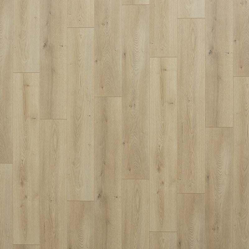 QuickStep Laminate Studio in Brookside Oak (WHS:GAD/BSD)