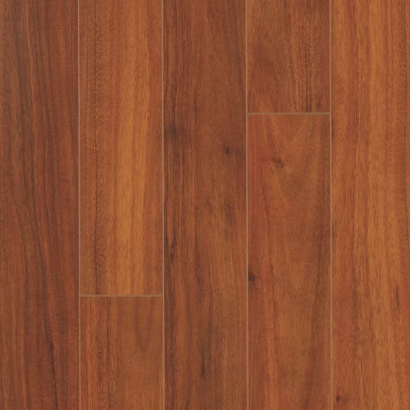 QuickStep STUDIO Laminate in Laguna Acacia (WHS:GAD)