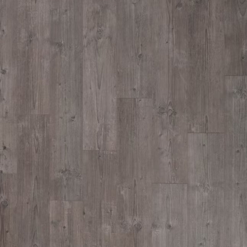 PERGO XTRA Laminate in Timeworn Pine (WHS:THO)