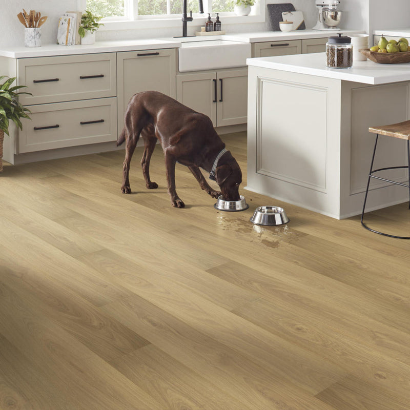 Mohawk Laminate Perfect Seal in Middlebury Oak (WHS:BSD)