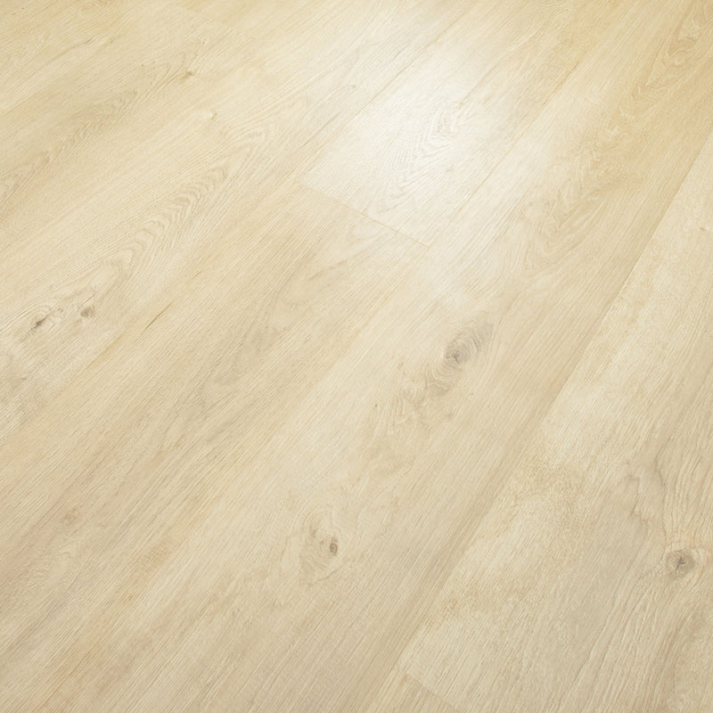 Mohawk Laminate Relasto in Palisade (WHS:GHB)