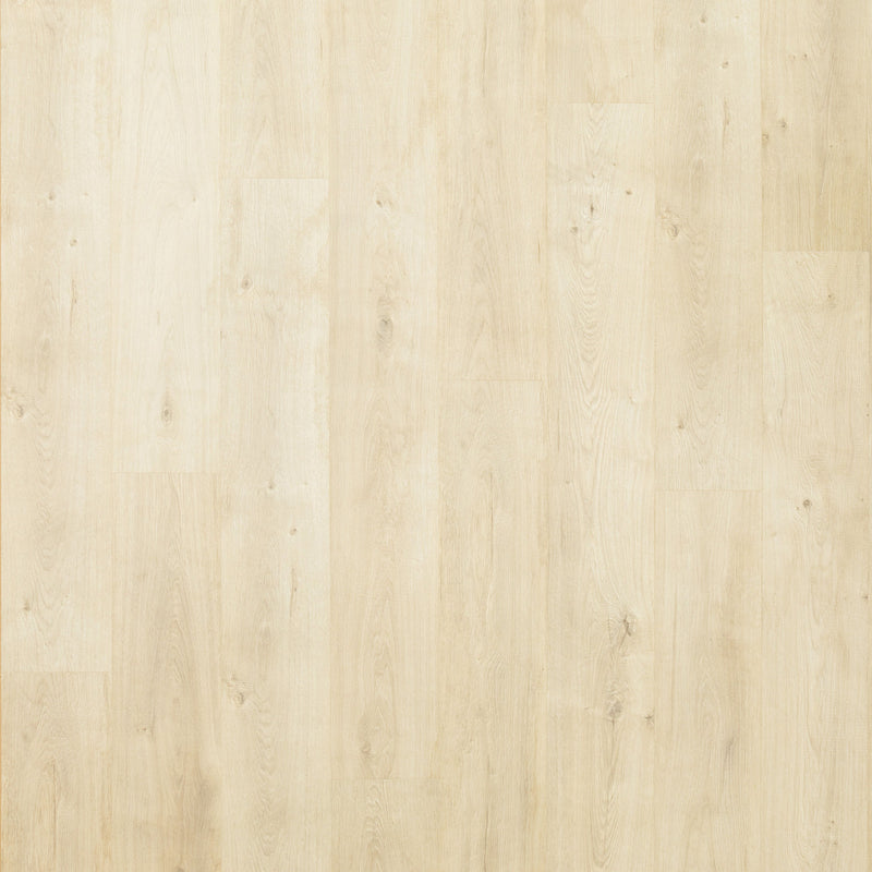 Mohawk Laminate Relasto in Palisade (WHS:GHB)