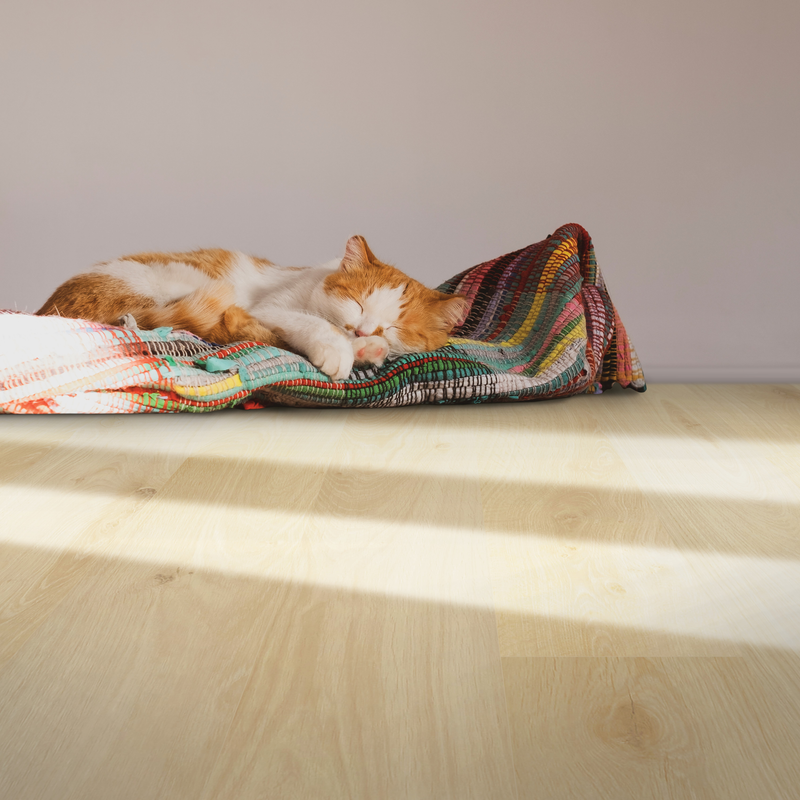 Mohawk Laminate Leuco in Natural Oak (WHS:BSD)