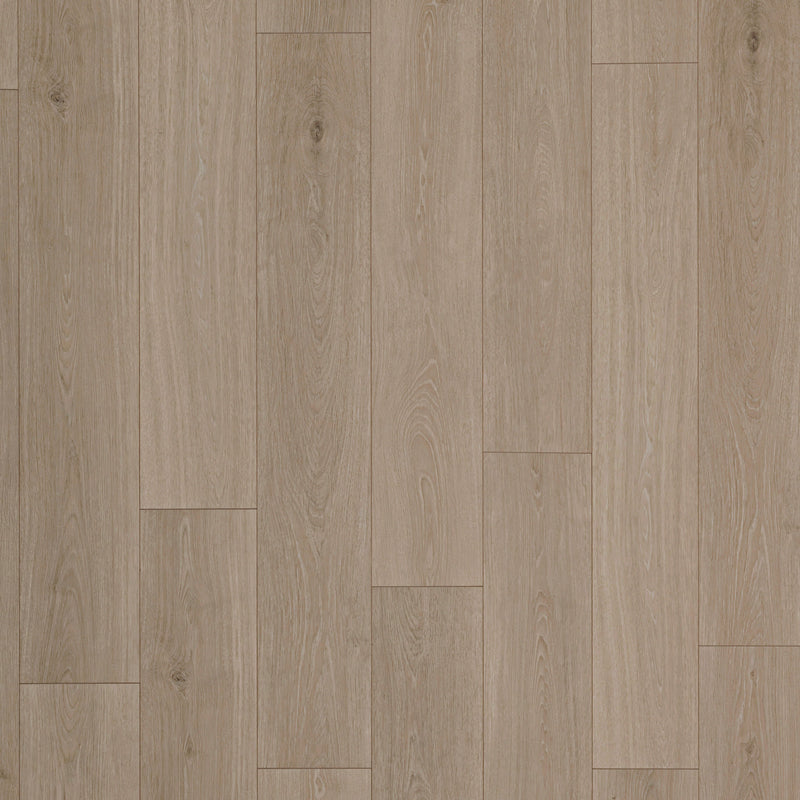 Mohawk Laminate Palisades Park in Night Owl Oak (WHS:GHB/BSD)
